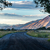 USA, Idaho, Bellevue, Dirt road leading to foothills on summer evening