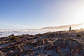 South Africa, Hermanus, Boy (10-11) walking on rocks on Kammabaai Beach