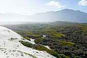 South Africa, Hermanus, Green landscape in Walker Bay Nature Reserve