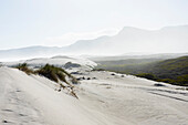 South Africa, Hermanus, Sandy landscape in Walker Bay Nature Reserve