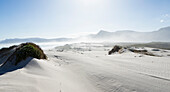 South Africa, Hermanus, Sandy beach in Walker Bay Nature Reserve