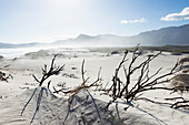 Sandstrand im Walker Bay Naturreservat