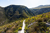 South Africa, Hermanus, Hiking trail in mountains in Fernkloof Nature Reserve