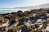 Südafrika, Hermanus, Meeresküste mit Felsen am Kammabaai Beach