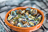 Portuguese-Style Clams in a Terracotta Dish