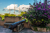 Eine alte spanische Kanone schützt die alte Kolonialstadt Santo Domingo, Dominikanische Republik, vor Piraten. UNESCO-Weltkulturerbe der Kolonialstadt Santo Domingo. Im Hintergrund liegt das luxuriöse Kreuzfahrtschiff Sea Cloud vor Anker.