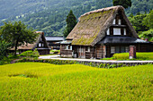 Gassho-zukuri-Dorf von Ainokura