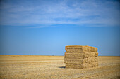 Stack of Hay
