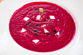 Kräftige Rote-Bete-Creme auf weißem Teller