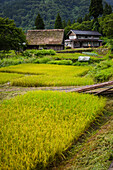 Gassho-zukuri Village of Ainokura