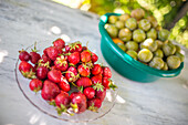 Frische Erdbeeren und Pflaumen auf einem spanischen Tisch