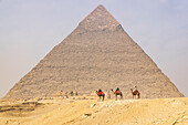 Giza, Cairo, Egypt. Men on camels at the Great Pyramid complex. (Editorial Use Only)