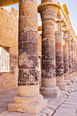 Agilkia-Insel, Assuan, Ägypten. Schnitzereien auf Säulen im Philae-Tempel, einem UNESCO-Weltkulturerbe.