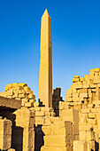 Karnak, Luxor, Ägypten. Obelisk der Königin Hatschepsut im Karnak-Tempelkomplex.
