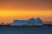 Ein Eisberg bei Sonnenuntergang im Lemaire-Kanal, Antarktis.