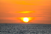 Das goldene Licht der untergehenden Sonne reflektiert einen goldenen Schimmer auf dem Strand von Pererenan Beach, während die Wellen auf Bali, Indonesien, anrollen