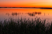 Kanada, Alberta, Kinbrook Island Provincial Park. Lake Newell in der Morgendämmerung.