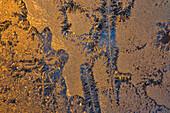 Canada, Manitoba, Winnipeg. Sunrise on window frost patterns in winter.