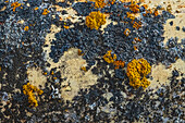 Canada, Manitoba, St. Lupicin. Close-up of rusted paint patterns on vintage car.