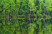 Kanada, New Brunswick, Kouchibouguac-Nationalpark. Frühlingswald mit Spiegelungen im See.