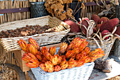 Munich, Germany. Farmers market. Fall dried flowers