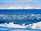 Küste mit Pfannkucheneis bei Kapp Linne am Fjord Isfjorden bei Isfjorden Radio, Insel Spitzbergen. Im Hintergrund die Berge des Nordre Isfjorden National Park. Arktis, Skandinavien, Norwegen, Svalbard