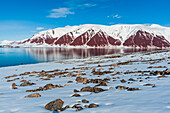 Snow covered rock beaches and mountains rim Bockfjorden, Spitsbergen Island, Svalbard, Norway.