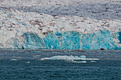 Walrosse in der Ferne auf einer Eisscholle vor einem Gletscher am Kongsfjorden bei Ny-Alesund. Kongsfjorden, Insel Spitzbergen, Svalbard, Norwegen.