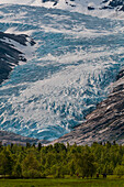 Hikers walk in a verdant valley near the terminus of Svartisen Glacier. Saltfjellet-Svartisen National Park, Svartisen, Norway.