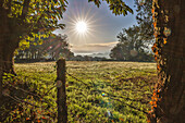 Spanien, Galicien. Frühmorgens auf dem Jakobsweg in der Nähe von Vilei