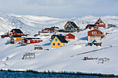 Colorful houses by the sea. Ilulissat, Greenland.