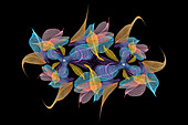 Multi-colored skeleton leaves arranged on black background