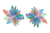 Multi-colored skeleton leaves arranged on white background