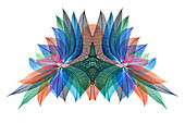 Multi-colored skeleton leaves arranged on white background