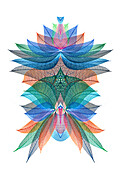 Multi-colored skeleton leaves arranged on white background