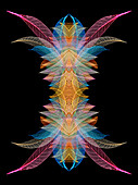 Multi-colored skeleton leaves arranged on black background