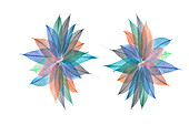 Multi-colored skeleton leaves arranged in radial pattern on white background