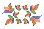 Multi-colored skeleton leaves arranged on white background