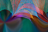 Multi-colored skeleton leaves arranged on colorful background