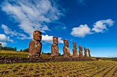 Moai statues of Ahu Akivi. Rapa Nui, Easter island, Chile