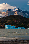 Eisberge schwimmen im Grey Lake mit Torres del Paine im Hintergrund. Ultima Esperanza, Chile
