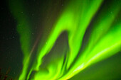 USA, Alaska, Chena Hot Springs Resort. Aurora Borealis füllt den Nachthimmel.