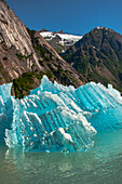 USA, Alaska, Tongass National Forest. Eisberge in der Bucht von Endicott Arm.