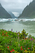 USA, Alaska, Tongass National Forest. Shakes Lake icebergs and wildflowers.