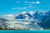 USA, Alaska, Glacier-Bay-Nationalpark. Berg und Reid-Gletscher.