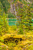 USA, Alaska, Tongass National Forest. Landscape with pond, inlet, and mountain.