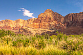 USA, Arizona, Grand Canyon National Park. Landscape with cliffs and grasses.
