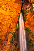 USA, Arizona, Grand-Canyon-Nationalpark. Deer Creek Falls, malerisch.