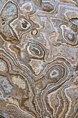 USA, Kalifornien. Felsiger Strand im Jalama Beach County Park.