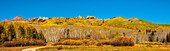 USA, Colorado, Gunnison National Forest. Panoramablick auf einen Berg und einen Espenwald im Herbst.